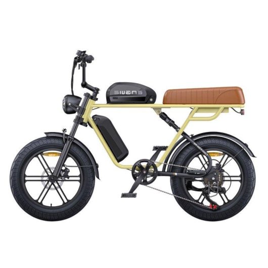 Bicicletta Elettrica Engwe NL 250W Batteria 48V 28.6Ah Pneumatici 20 Pollici Freni a Disco Idraulici
