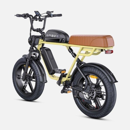 Bicicletta Elettrica Engwe NL 250W Batteria 48V 28.6Ah Pneumatici 20 Pollici Freni a Disco Idraulici