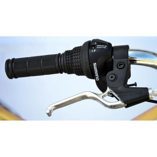 Triciclo de Reabilitação Enero 24" 6 Velocidades Baunilha