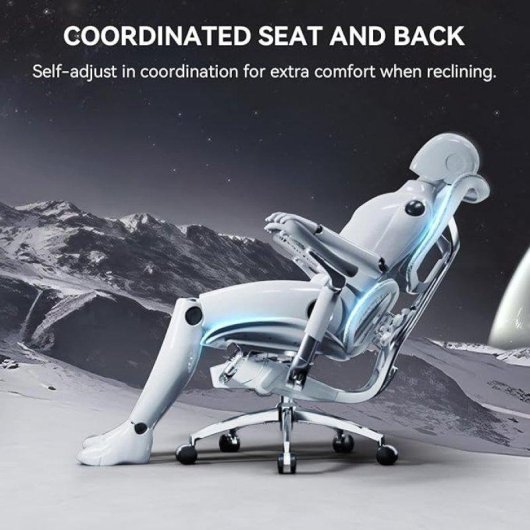 Bürostuhl Sihoo Doro S300 Ergonomisch - 6D-Armlehnen - Dynamisches Lendenwirbelstützsystem