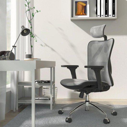 Sihoo M57 Ergonomischer Bürosth mit 3D-Armlehnen und verstellbarer Lendenwirbelstütze