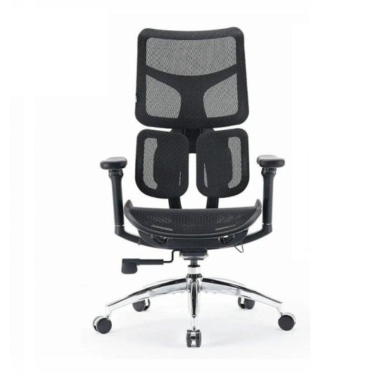 Bürostuhl Ergonomisch Sihoo Doro S100 - Dynamische Doppel-Lendenwirbelstütze
