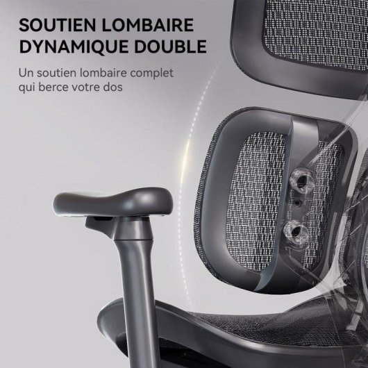 Bürostuhl Ergonomisch Sihoo Doro S100 - Dynamische Doppel-Lendenwirbelstütze