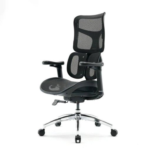Bürostuhl Ergonomisch Sihoo Doro S100 - Dynamische Doppel-Lendenwirbelstütze