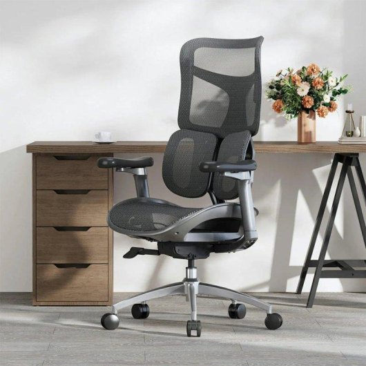 Bürostuhl Ergonomisch Sihoo Doro S100 - Dynamische Doppel-Lendenwirbelstütze
