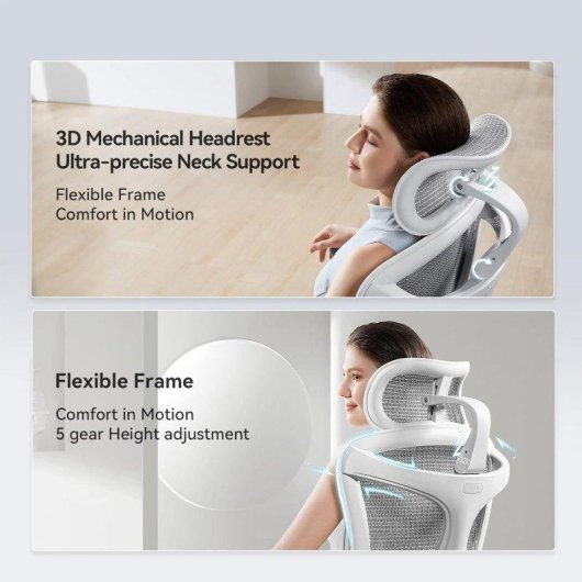 Bürostuhl Ergonomisch Sihoo Doro C300 Pro JT - 5D-Armlehnen, Selbstjustierender Lendenwirbelstütze