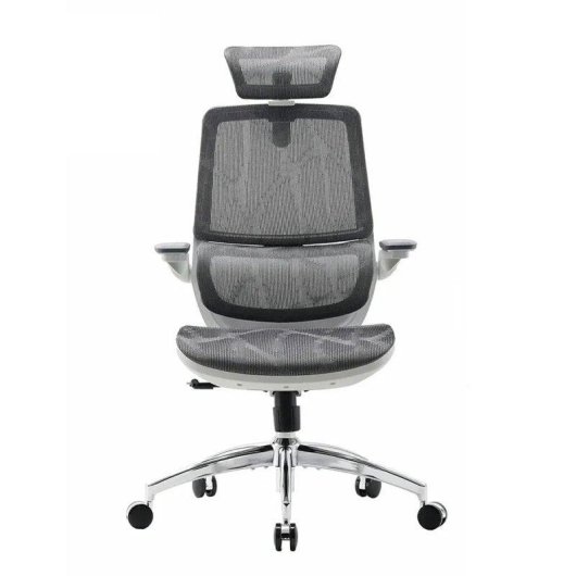 Sihoo M59as Silla Ergonómica Reposabrazos 3D Ajustables Respaldo Doble