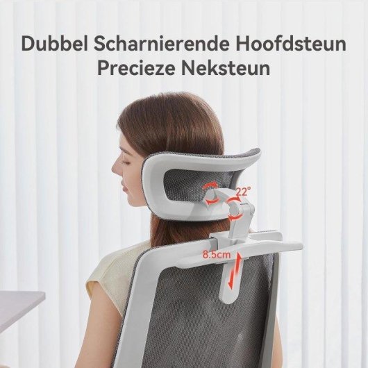 Sihoo M59as Silla Ergonómica Reposabrazos 3D Ajustables Respaldo Doble