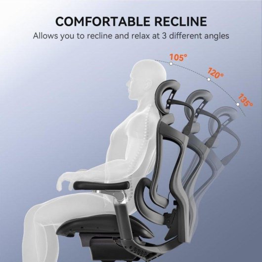 Bürostuhl Ergonomisch Sihoo Doro C300 Pro mit 6D-Armlehnen und Dynamischem Lendenwirbelsäulenstütze
