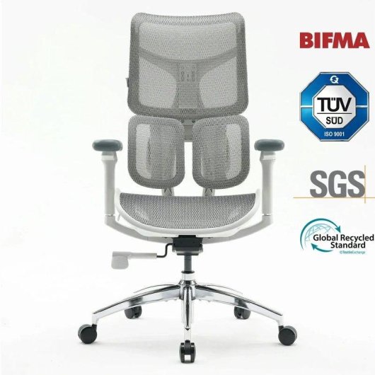 Bürostuhl Sihoo Doro S100 Ergonomisch - Doppelter Dynamischer Lendenwirbelstütze