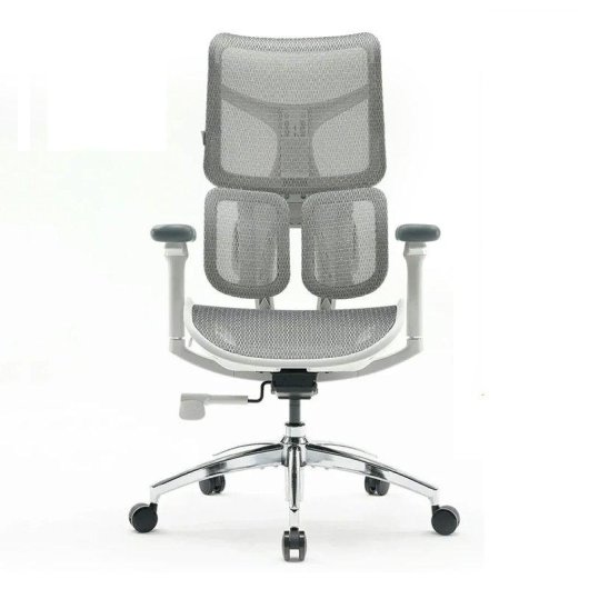 Bürostuhl Sihoo Doro S100 Ergonomisch - Doppelter Dynamischer Lendenwirbelstütze