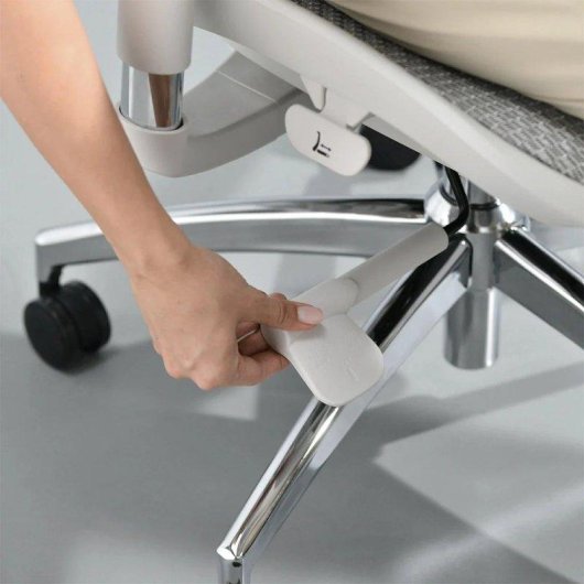 Bürostuhl Sihoo Doro S100 Ergonomisch - Doppelter Dynamischer Lendenwirbelstütze