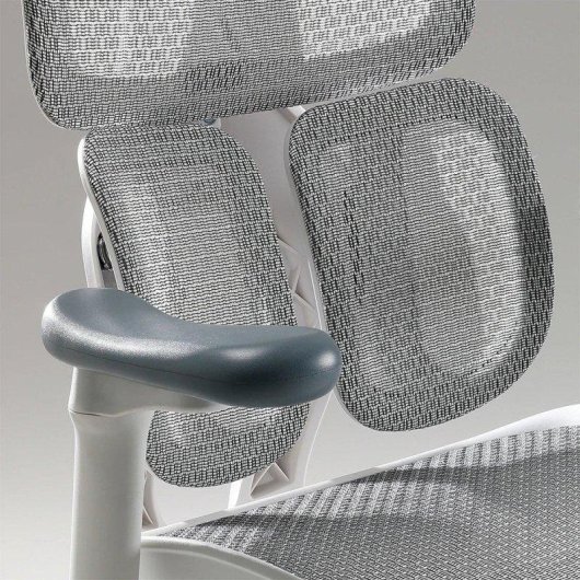Bürostuhl Sihoo Doro S100 Ergonomisch - Doppelter Dynamischer Lendenwirbelstütze