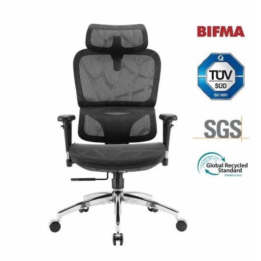 Bürostuhl Sihoo M56b mit Dynamischer Lendenwirbelstütze 3D