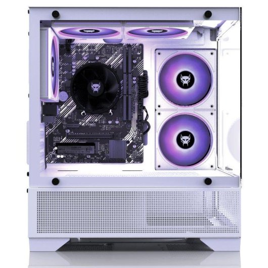 PC de bureau BEASTCOM Q3 AMD Ryzen 5 16GB 512GB SSD Vega 11 Windows 11 Pro RGB