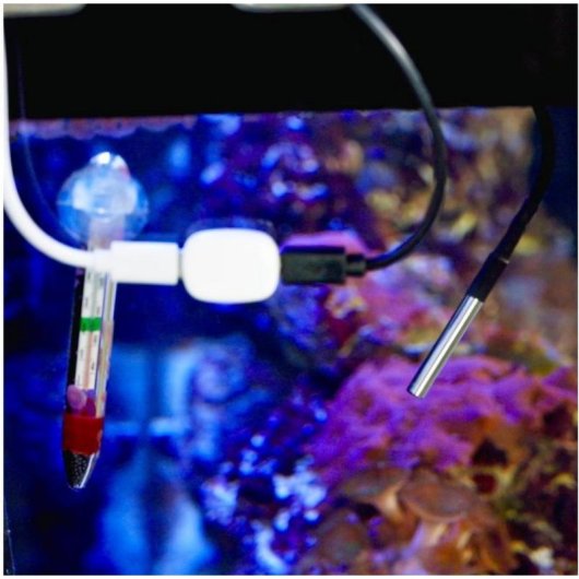 Sensor de Temperatura Shelly The Pill TS1m Cable 1 m Jack 3,5 mm
