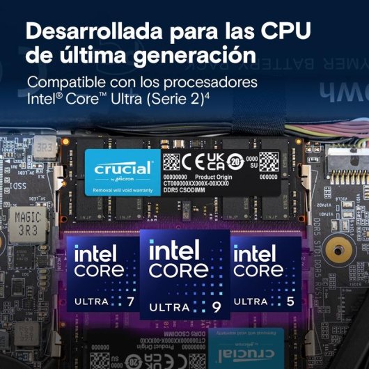 Memoria RAM Crucial CT24G64C52CS5 24GB 1x24GB DDR5 6400MHz CL52 Negro