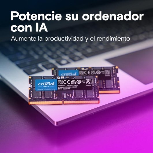 Memoria RAM Crucial CT24G64C52CS5 24GB 1x24GB DDR5 6400MHz CL52 Negro