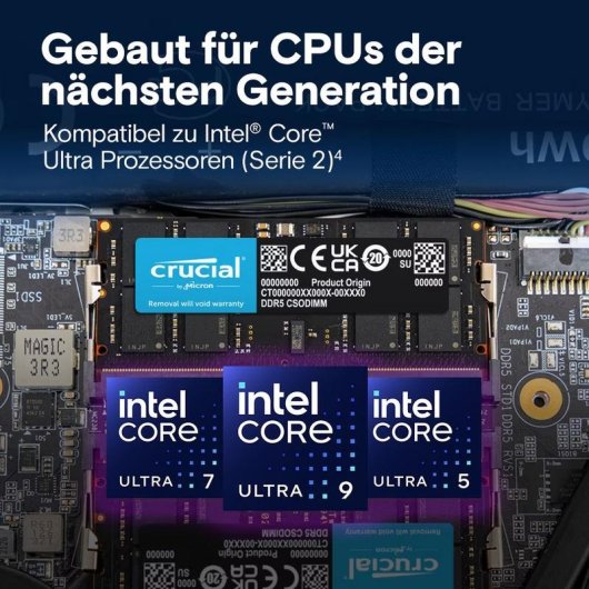 Memoria RAM Crucial CT24G64C52CS5 24GB 1x24GB DDR5 6400MHz CL52 Negro