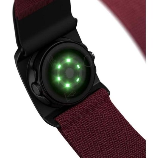 Aktivitätsarmband Polar Verity Sense Bluetooth ANT+ Dunkelrot Interner Speicher