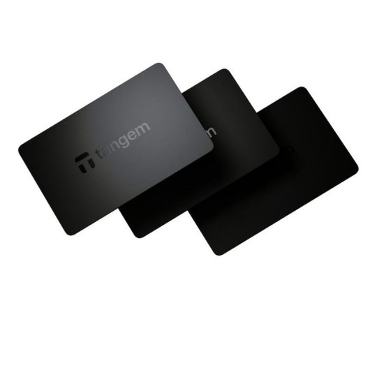 Monedero offline para criptomonedas bitConsult EAL6+ NFC Negro
