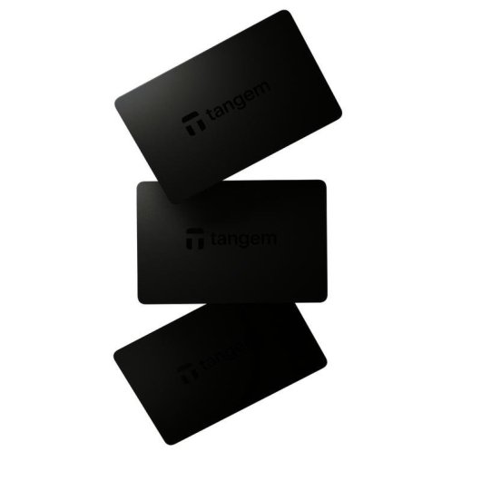Monedero offline para criptomonedas bitConsult EAL6+ NFC Negro