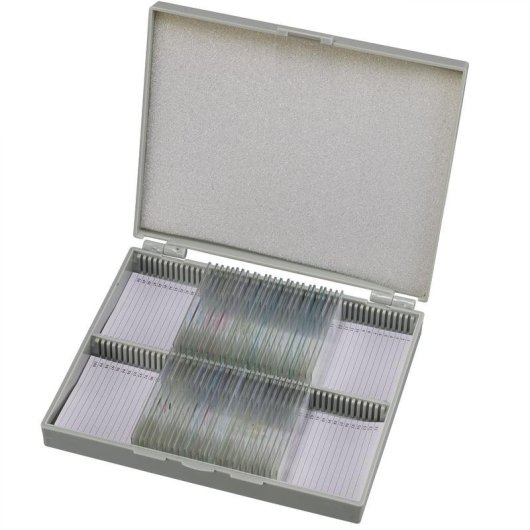 Accesorio microscopio Bresser Optics 5986000 30 muestras animales caja madera