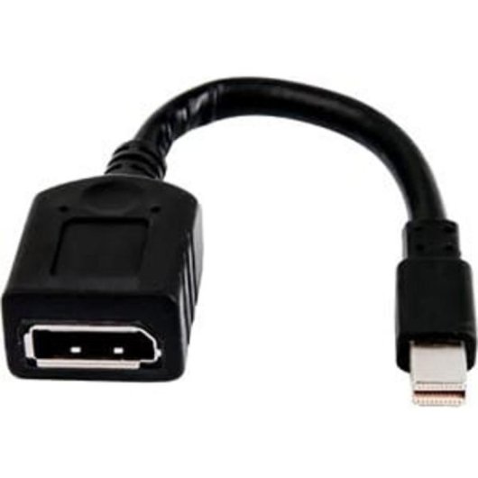 Cable Adaptador Mini DisplayPort a DisplayPort HP Negro 1,8 m