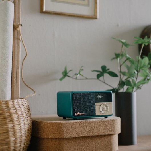 Radio Personnelle Sangean DDR-7X DAB+ FM Bluetooth 5.0 OLED Vert