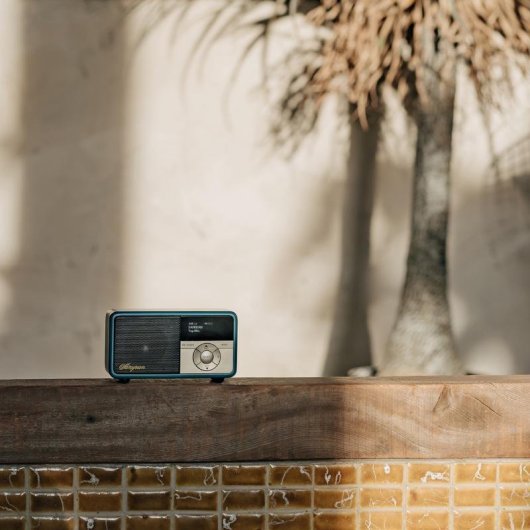 Radio Personnelle Sangean DDR-7X DAB+ FM Bluetooth 5.0 OLED Vert