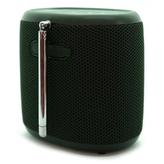 Radio Portatile Pure Woodland Mini DAB+ FM Bluetooth 5.3 IP67