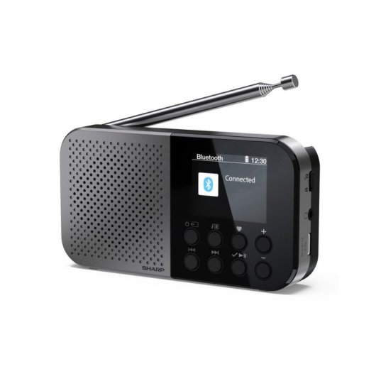 Radio Personnelle Sharp DR-P520 DAB+ FM Bluetooth 5.3 USB-C Gris