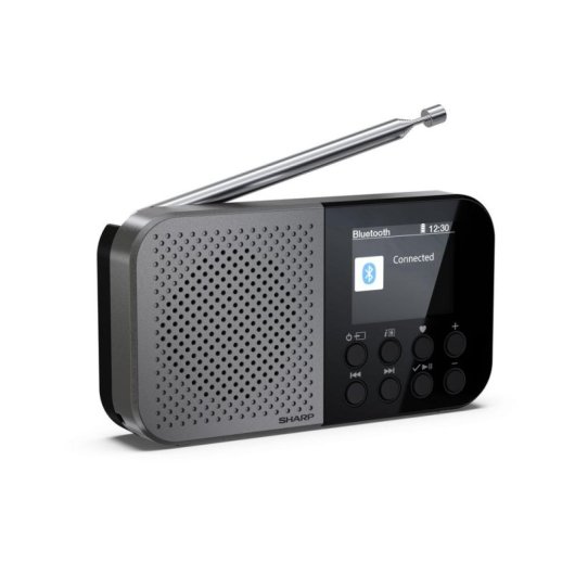 Radio Personnelle Sharp DR-P520 DAB+ FM Bluetooth 5.3 USB-C Gris