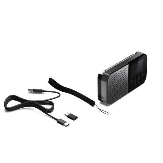 Radio Personnelle Sharp DR-P520 DAB+ FM Bluetooth 5.3 USB-C Gris