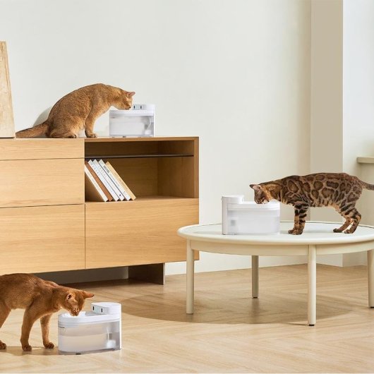 Bevitore Automatico per Animali CATLINK Pure 3 AI 2,3 L ABS Bianco