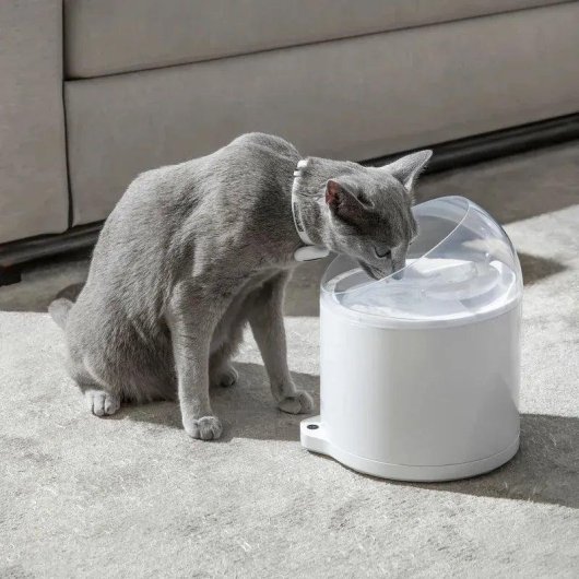 Bevitore Automatico per Animali Domestici CATLINK Pure 2 UV 2,6 L WiFi Silenzioso Universale