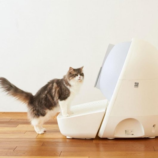 Rampa pour litière pour animaux CatLink CL-LBPS-01 Blanc Polypropylène