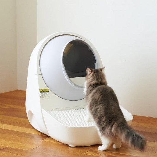 Rampa pour litière pour animaux CatLink CL-LBPS-01 Blanc Polypropylène