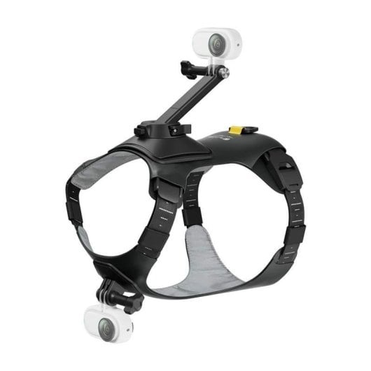 Soporte para cámara Insta360 CINSBAVW para perros tamaño M