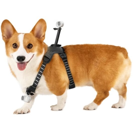 Soporte para cámara Insta360 CINSBAVW para perros tamaño M