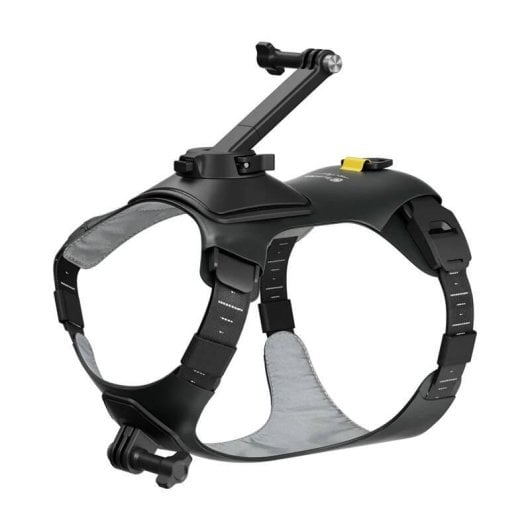 Soporte para cámara Insta360 CINSBAVW para perros tamaño M
