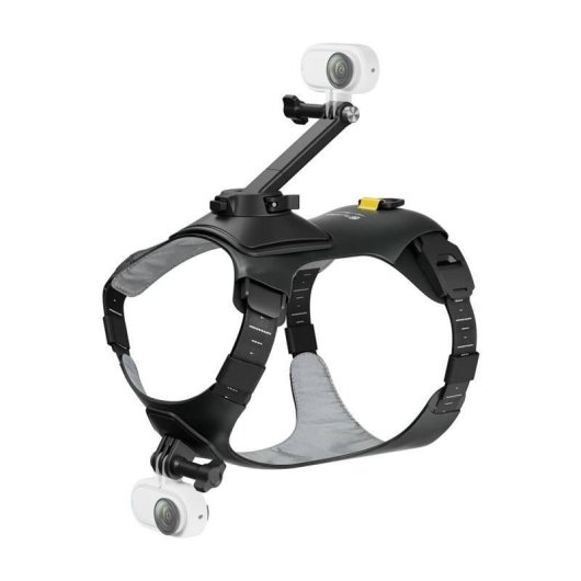 Soporte para cámara Insta360 CINSBAVW para perros tamaño M