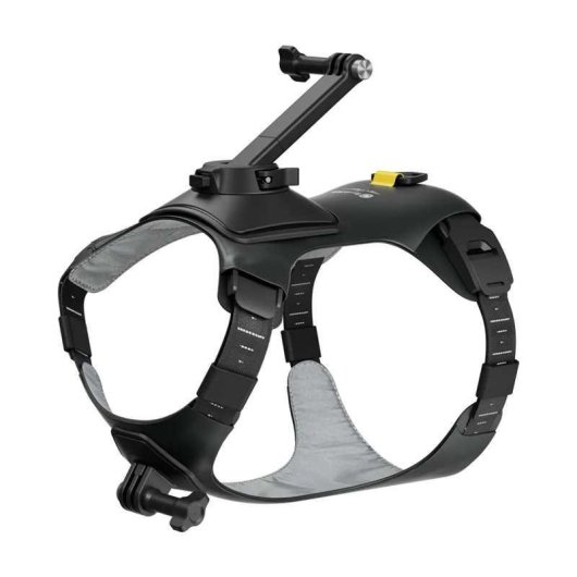 Soporte para cámara Insta360 CINSBAVW para perros tamaño M