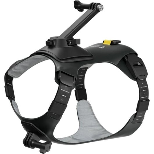 Hundehalterung für Kamera Insta360 CINSBAVX Kompatibel mit GO 3 und GO 3S