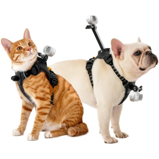 Hundehalterung für Kamera Insta360 CINSBAVX Kompatibel mit GO 3 und GO 3S