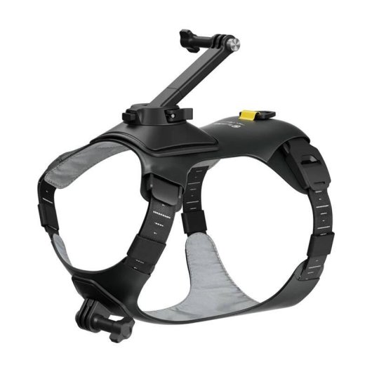 Hundehalterung für Kamera Insta360 CINSBAVX Kompatibel mit GO 3 und GO 3S