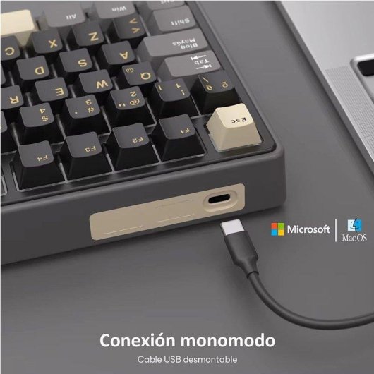 Tastatur Generica R75 kompakt RGB Hot-Swappable PBT Tasten kabelgebunden