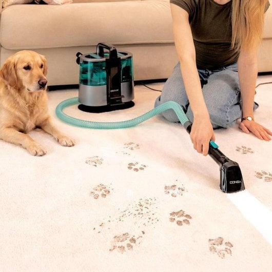 Aspirador de Estofos Cecotec Conga 6000 Carpet&Spot Clean XL 600W 14 kPa 1500 ml