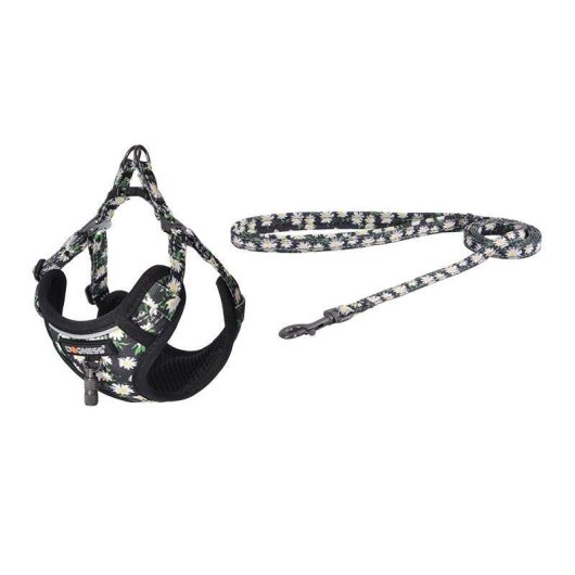 Set de paseo Dogness para perro con correa de 1,5 m y arnés multicolor