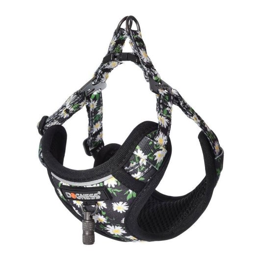 Set de paseo Dogness para perro con correa de 1,5 m y arnés multicolor